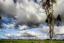 东方风起，谁主沉浮？上海“被逼”之下，黑龙江十强“猛烈反扑”鹿死谁手？