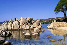 印第安纳步行者：王者之师，奏响胜利凯歌，笑傲NBA赛场