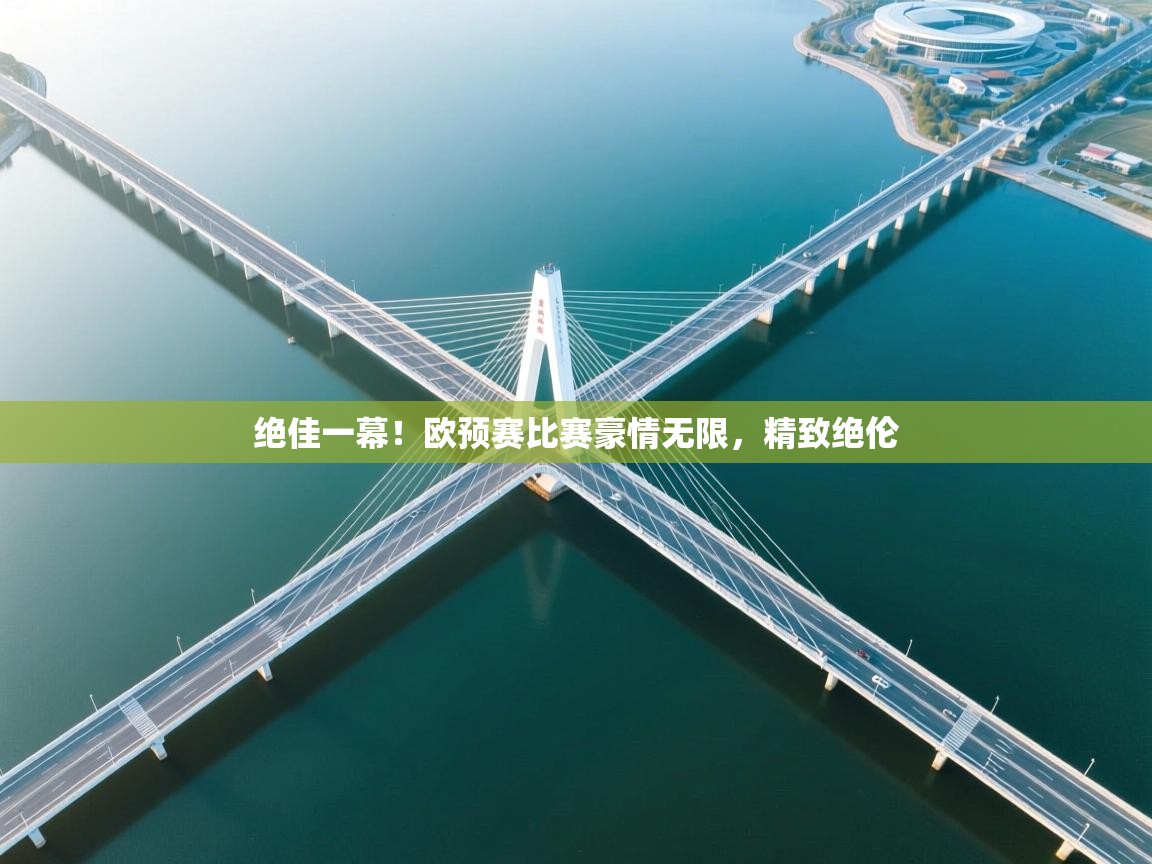 绝佳一幕!欧预赛比赛豪情无限,精致绝伦 第2张